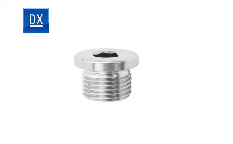 Socket Screw Plug