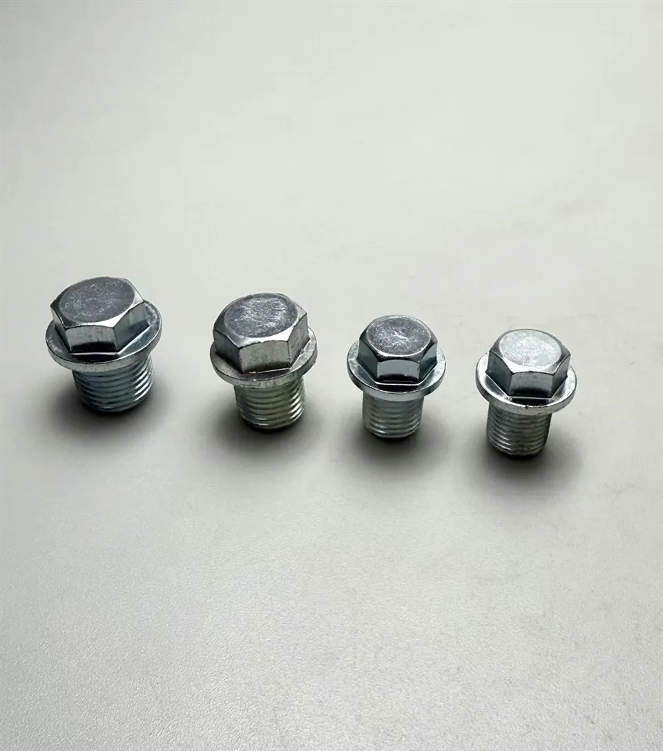 Oil Plugs in Various Specifications