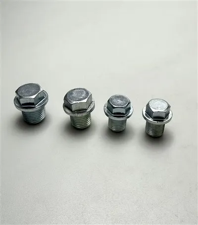 Oil Plugs in Various Specifications